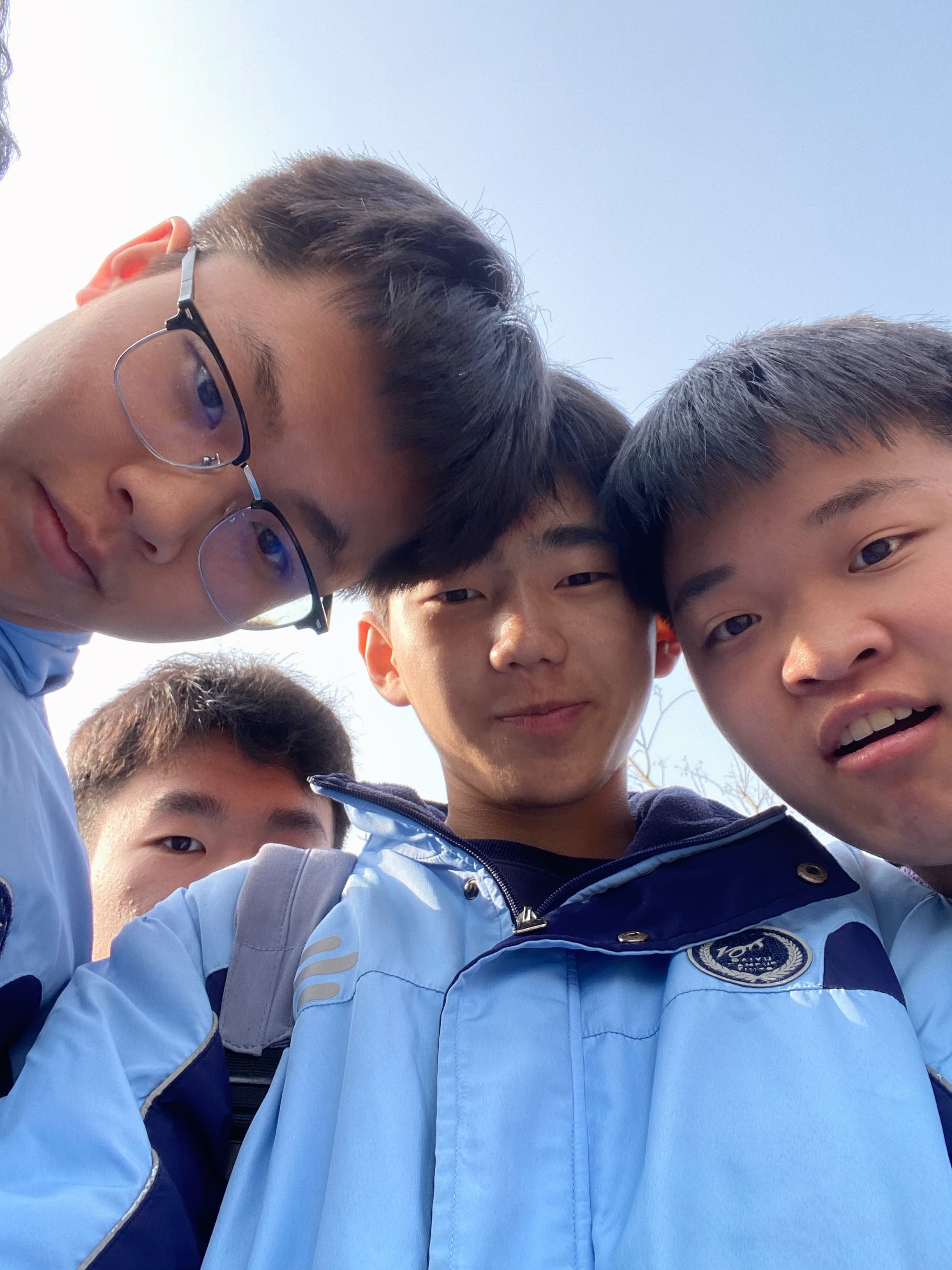 展示图片17